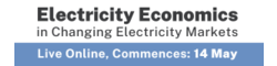 Electricity Economics in Changing Electricity Markets